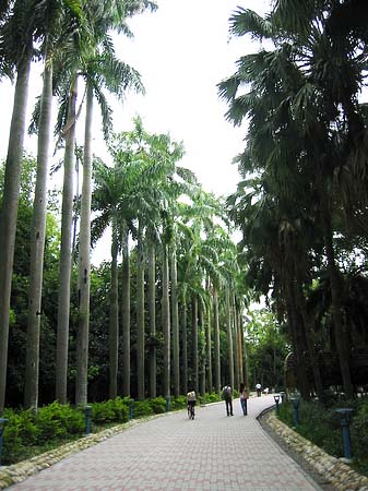 Botanischer Garten Fotos