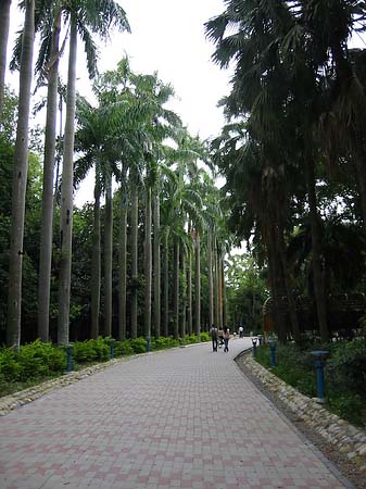 Botanischer Garten