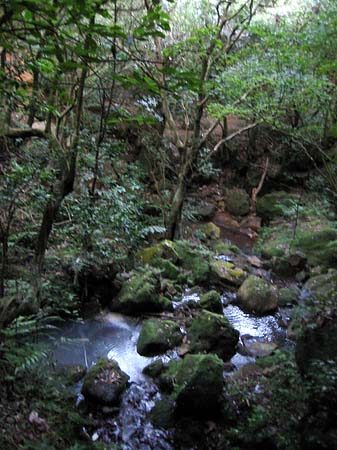 Fotos Yangminshan