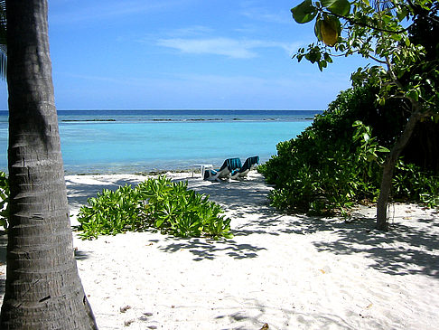 Foto Blick auf das Meer - 