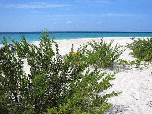 Blick auf das Meer