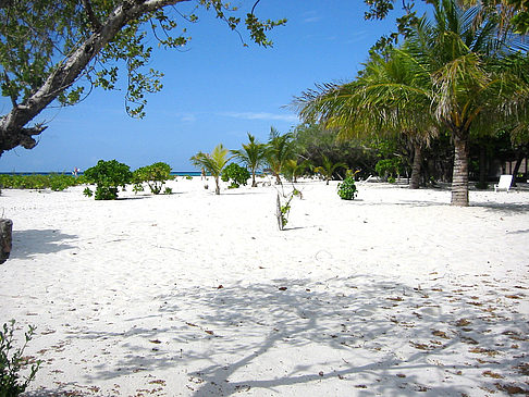 Foto Der weiße Sandstrand