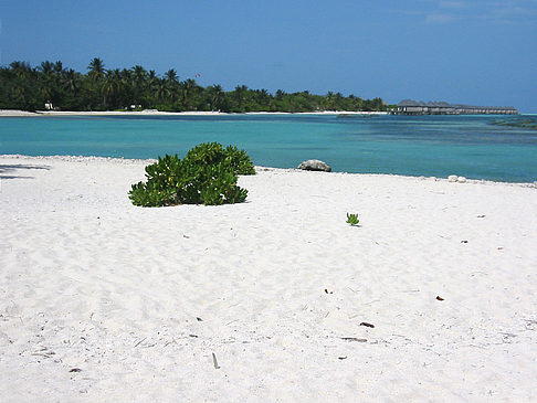 Der weiße Sandstrand Foto 