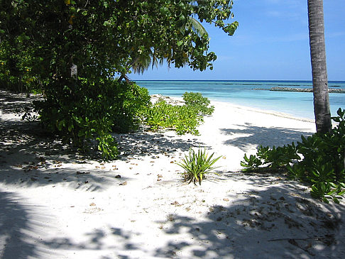 Foto Der weiße Sandstrand - 