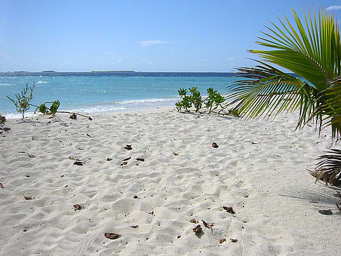 Foto Der weiße Sandstrand - 