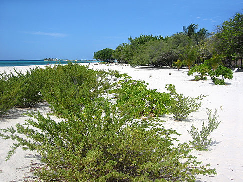 Der weiße Sandstrand Foto 