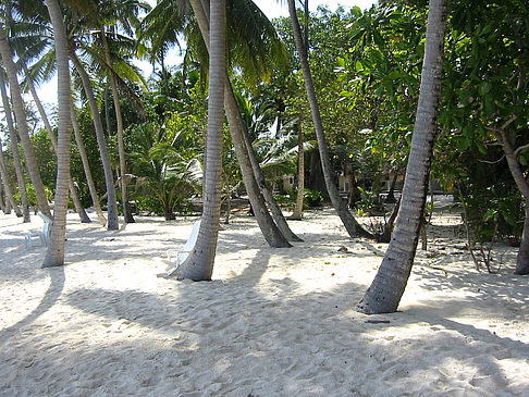 Foto Der weiße Sandstrand