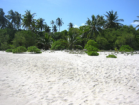 Der weiße Sandstrand Foto 