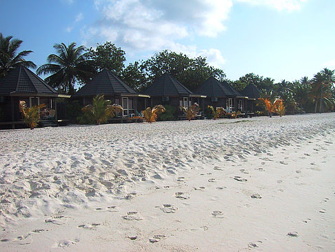 Fotos Der weiße Sandstrand der Malediven