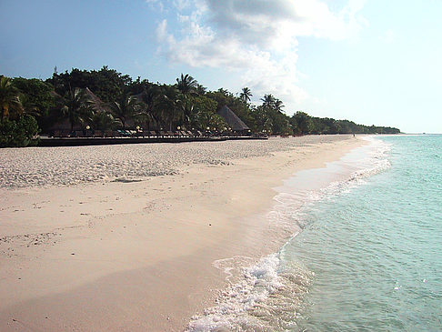 Foto Der weiße Sandstrand der Malediven - 