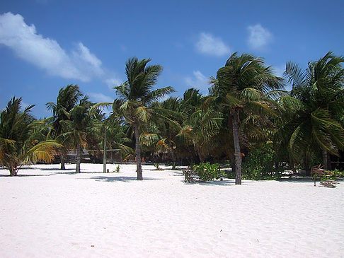 Foto Der weiße Sandstrand der Malediven