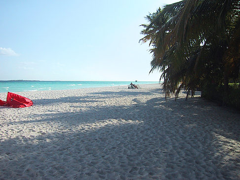 Der weiße Sandstrand der Malediven Foto 