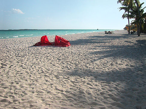 Foto Der weiße Sandstrand der Malediven - 