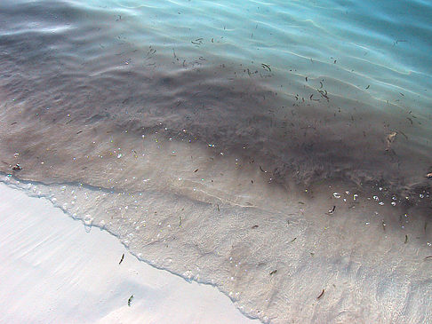 Der weiße Sandstrand der Malediven