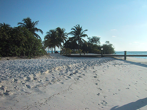 Foto Der weiße Sandstrand der Malediven