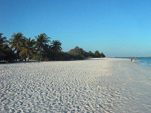 Foto Der weiße Sandstrand der Malediven - 