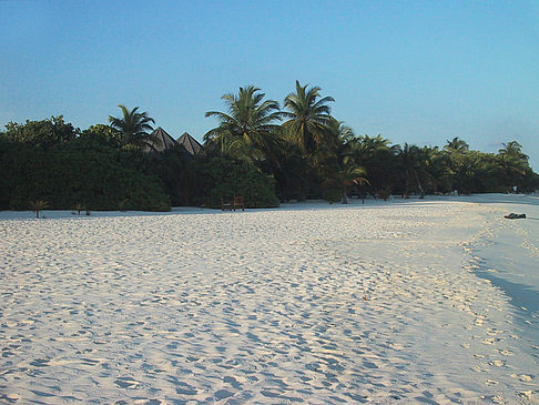 Foto Der weiße Sandstrand der Malediven