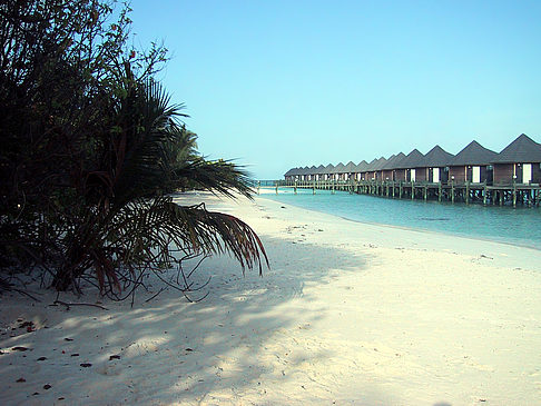 Fotos Der weiße Sandstrand der Malediven | 