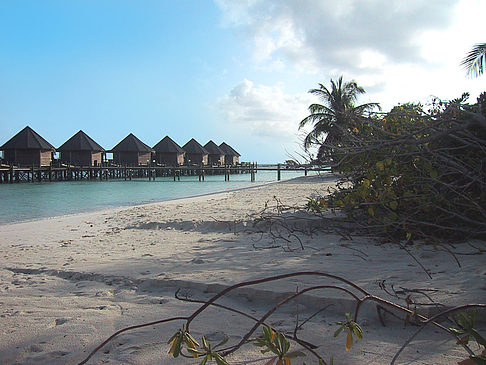 Foto Der weiße Sandstrand der Malediven - 