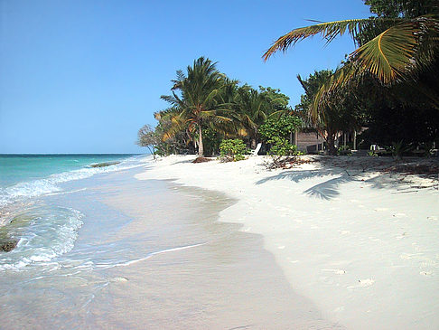 Foto Der weiße Sandstrand der Malediven