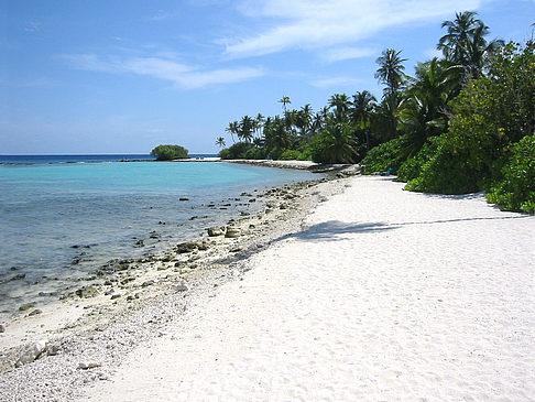 Felsiger Strand Fotos