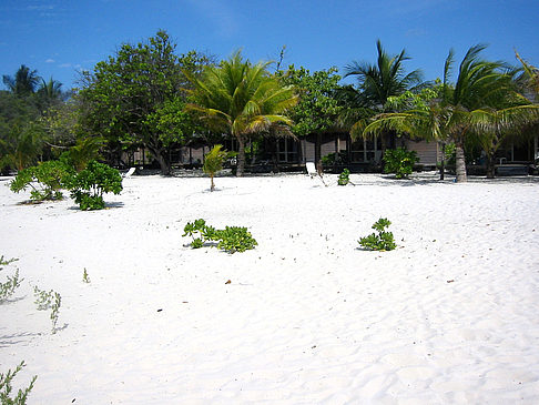 Wohnungen am Strand Foto 