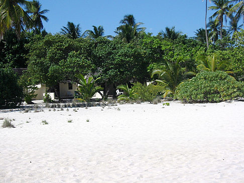 Wohnungen am Strand