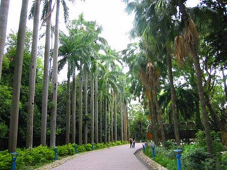 Botanischer Garten Fotos