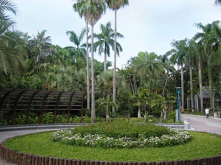 Botanischer Garten Foto 