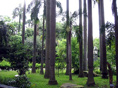 Botanischer Garten