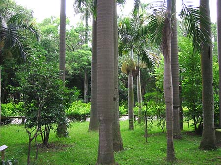 Foto Botanischer Garten