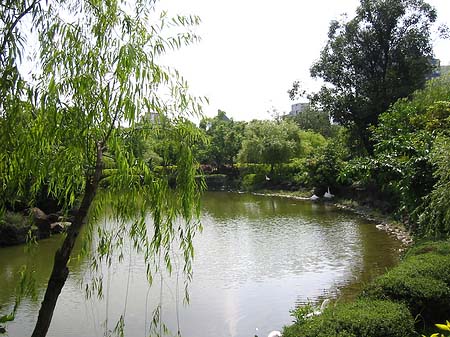 Foto Daan Park - Taipeh