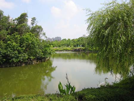 Fotos Daan Park | Taipeh