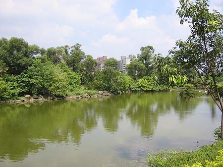 Fotos Daan Park | Taipeh