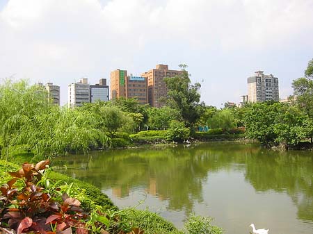 Foto Daan Park - Taipeh