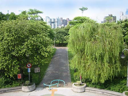 Foto Daan Park - Taipeh