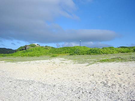 Green Island Foto 