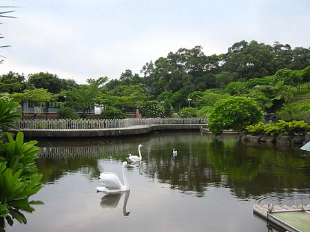 Juming Museum