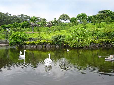 Foto Juming Museum