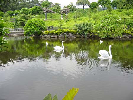 Juming Museum Fotos