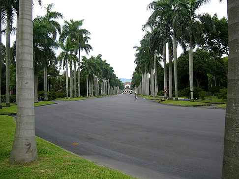 Universität Foto 