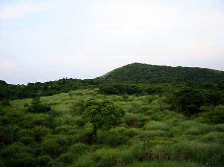 Foto Yangminshan