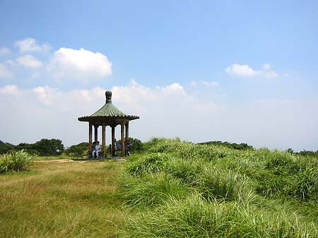 Yangminshan Foto 